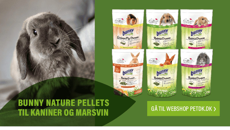 Gå til webshop PetDK.dk